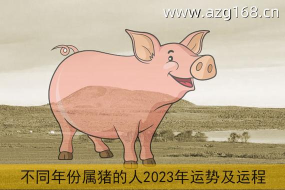 属猪2023年运势（属猪的人在2023年财运如何）